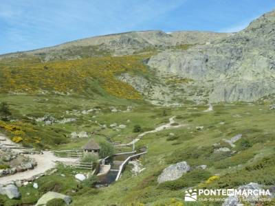 Ruta senderismo Peñalara - Parque Natural de Peñalara; gratis senderismo; verano senderismo